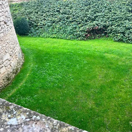 Chateau De Belet * Saint-Aquilin