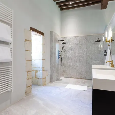 Chateau De Belet * Saint-Aquilin